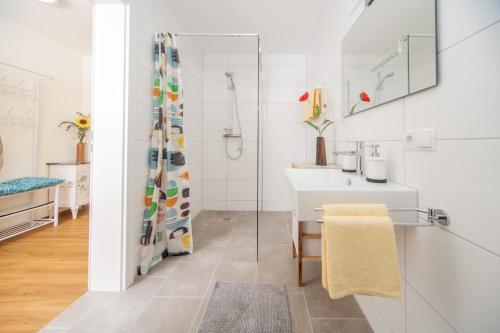 ein Bad mit einem Waschbecken und einer Dusche in der Unterkunft Cityapartment Dornbirn 50 qm in Dornbirn
