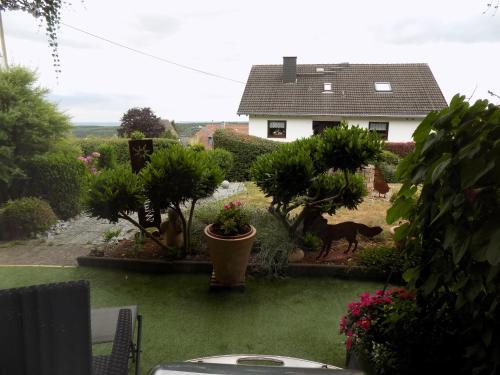a dog walking in the yard of a house at Haus Alexandra in Schöneberg