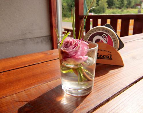 ラーズニェ・リブヴェルダにあるPension Vzlet s Tělocvičnouの水のグラスにピンクのバラが入っている