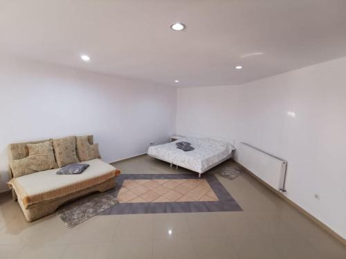 a living room with a couch and a bed at Apartament Catia in Călimăneşti