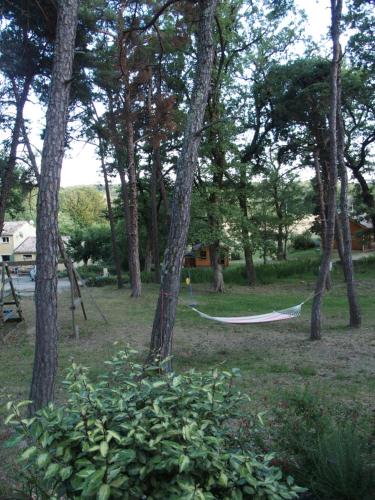 a hammock in the middle of a forest of trees at Chalets du Bois de Vache in Le Poët-Célard