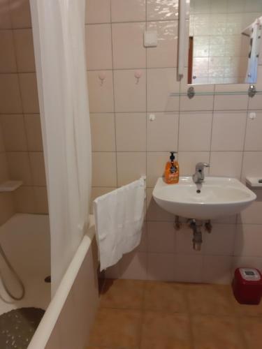 Ένα μπάνιο στο Apartment NATUR