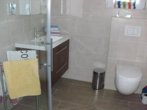 La salle de bains est pourvue de toilettes, d'un lavabo et d'une douche. dans l'établissement roggele bei beck, à Stetten