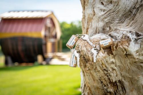 a bunch of keys attached to a tree with a barn at Les "JOLY" Foudres in Vaudelnay
