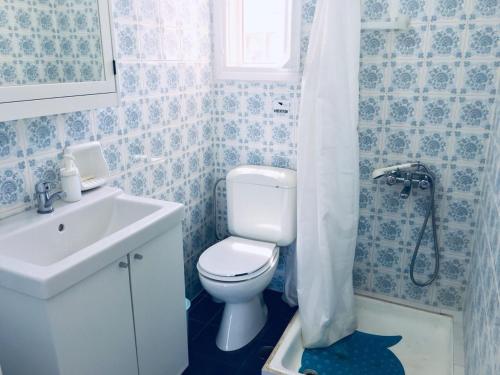 a bathroom with a toilet and a sink and a shower at Angela Seaside Summer house in Dhílesi