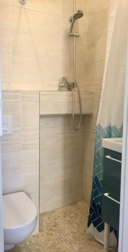 une salle de bain avec une douche, des toilettes et un lavabo dans l'établissement Le Terminus Studio Hyper Centre Fibre Optique, à Aix-les-Bains