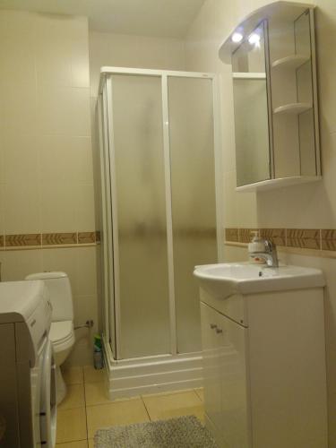 La salle de bains est pourvue d'une douche, d'un lavabo et de toilettes. dans l'établissement Simkaus str. apartment, à Klaipėda
