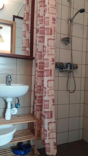 a bathroom with a sink and a shower curtain at Tajemniczy Ogród in Sztutowo