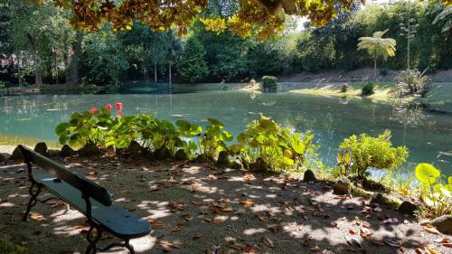 a park bench in front of a pond with plants at Casa Dona Beatriz in Furnas
