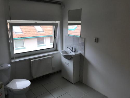 a bathroom with a toilet and a sink and a window at 3-Bedroom apartment in Rajhrad, with kitchen, 2 bathrooms, parking in Rajhrad