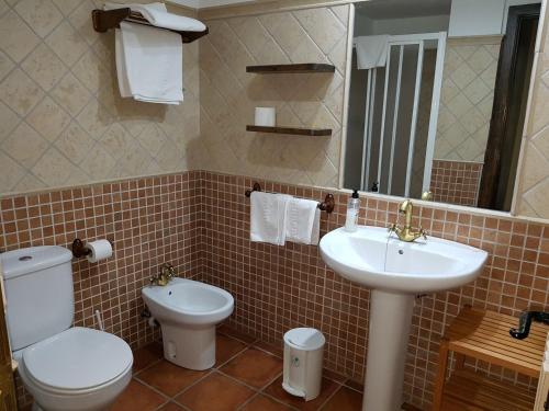 a bathroom with a toilet and a sink at Apartamentos Casa Alcaire in Gavín