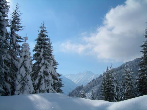 a snow covered mountain with trees and mountains at Haus Alpina in Häselgehr