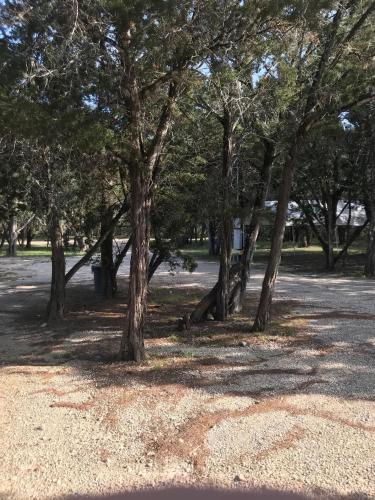 a group of trees in a park with gravel at A Peace of Heaven Cabins and RV in Vanderpool