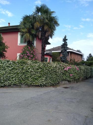 a pink house with a palm tree and flowers at Casa Orisca in Lesa