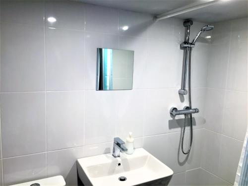 La salle de bains est pourvue d'un lavabo et d'une douche. dans l'établissement St Awaries Studio, à Rosslare