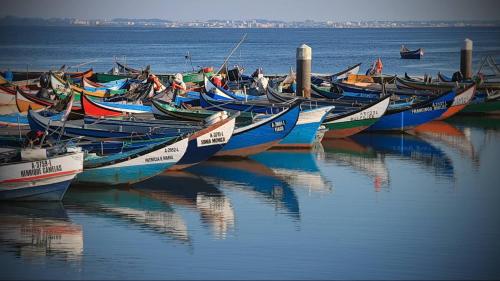 a bunch of boats are lined up in the water at Torreira Camping & Bungalows in Torreira