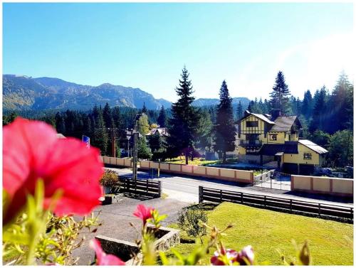 a view of a park with a house in the background at Timis Valley, Casa Eni&Dan in Predeal