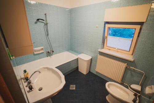 Apartmaji Retro في Spodnje Gorje: حمام مع حوض أبيض ومرحاض