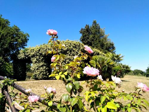 Locanda Rosati – Photos 3