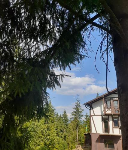 a house in the middle of a forest at Біла хата in Iltsi