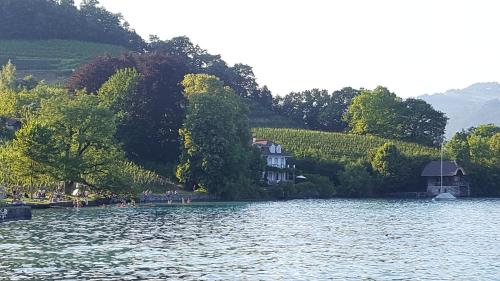 a house sitting on the shore of a lake at Ferienwohnung Ankerplatz in Spiez