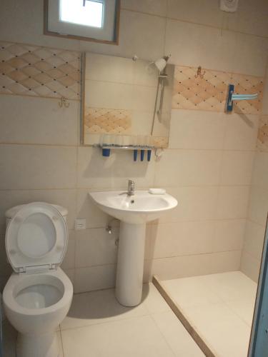a bathroom with a toilet and a sink at Nino's Holiday guesthouse in Borjomi