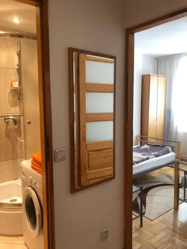 アウグストゥフにあるAugustów Apartament Aramisのバスルーム(シャワー、鏡付)が備わります。