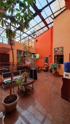 a large room with a tree in the middle of it at Bolivian Heights Hostel in La Paz