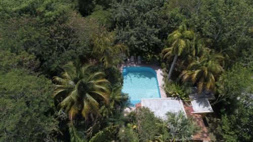 Kolam renang di atau dekat dengan Casa Kin33