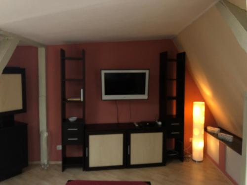 a living room with a flat screen tv and shelves at Parkschlösschen in Greiz in Greiz