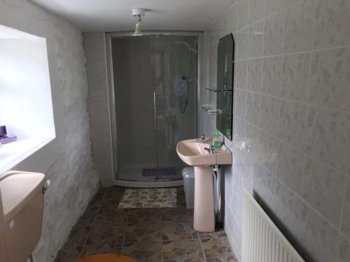 uma casa de banho com um lavatório e um chuveiro em Johnny Joe's em Achill