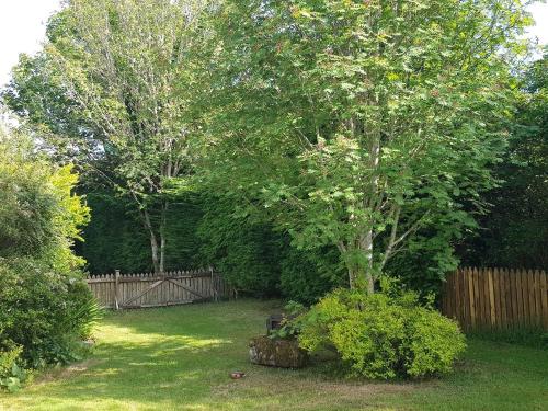 a tree in a yard next to a fence at Smithy Cottage in Kirkmichael