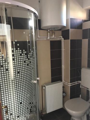 La salle de bains est pourvue de toilettes et d'une douche en verre. dans l'établissement CENTRAL APARTMAN, à Gheorgheni