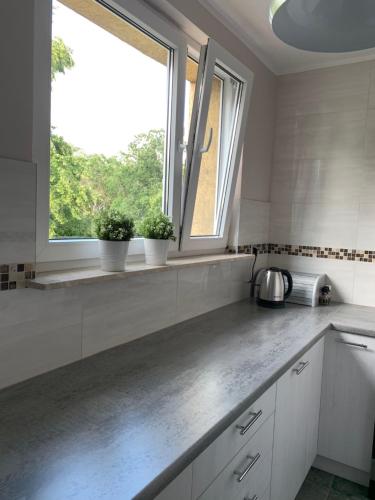 uma cozinha com balcões brancos e uma janela com vasos de plantas em Claudia by Q4Apartments - 2 min to the beach em Gdansk