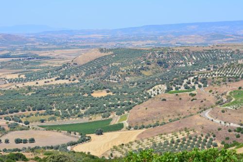 Φυσικό τοπίο κοντά σε αυτό το κατάλυμα σε φάρμα
