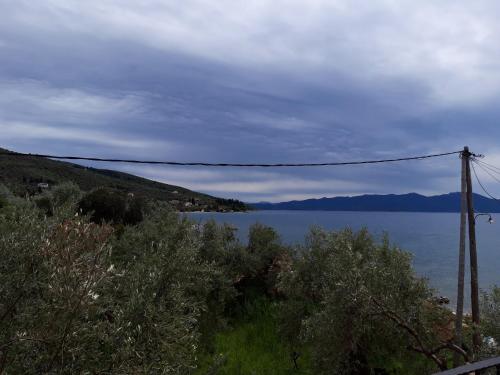 a view of a large body of water at Koutadelias rooms in Kálamos