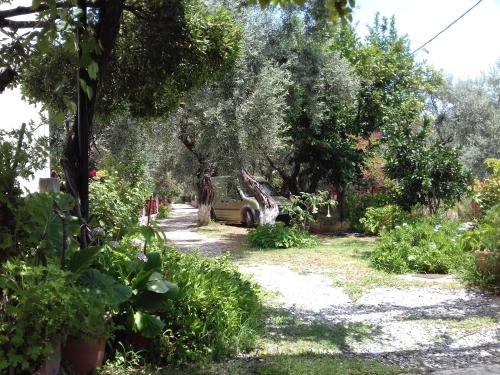 a van parked in a garden with trees at Koutadelias rooms in Kálamos