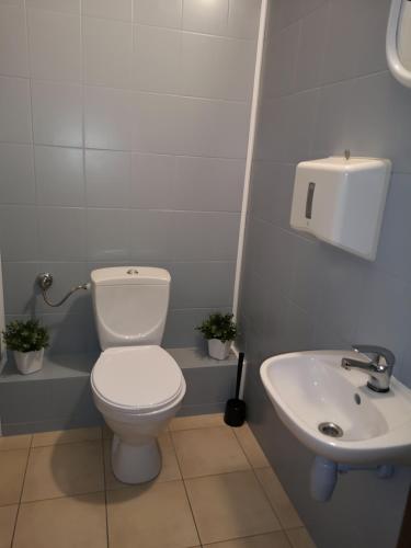 La salle de bains est pourvue de toilettes et d'un lavabo. dans l'établissement DanHostel, à Varsovie