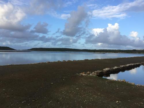 a large body of water with a rocky shore at Bed & Bike Curacao - Jan Thiel in Willemstad