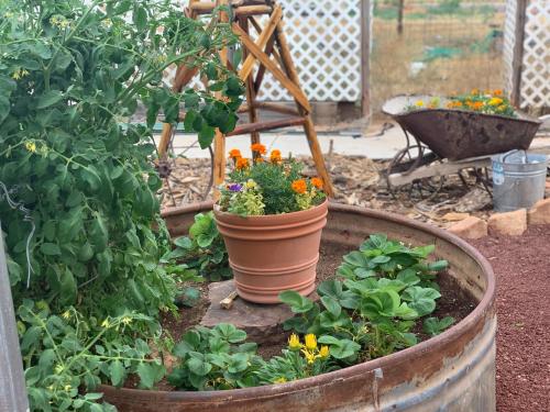 Zion's Backyard Bed and Breakfast – Photos 4