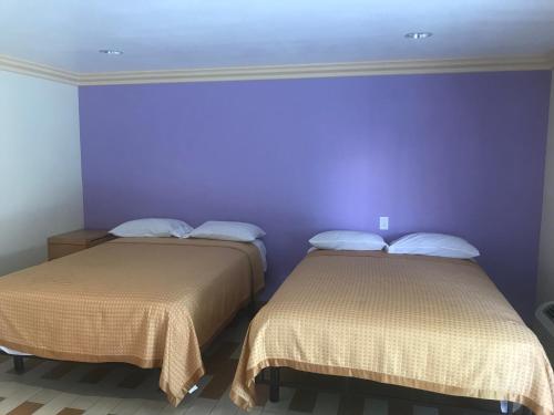 two beds in a room with a purple wall at All 8 Motel in Long Beach