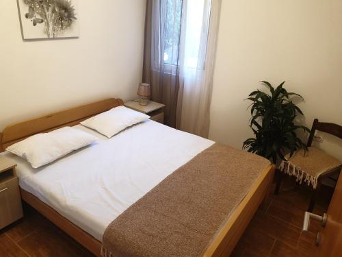 1 dormitorio con 1 cama con planta y ventana en Apartment ALEKSANDAR, en Kotor