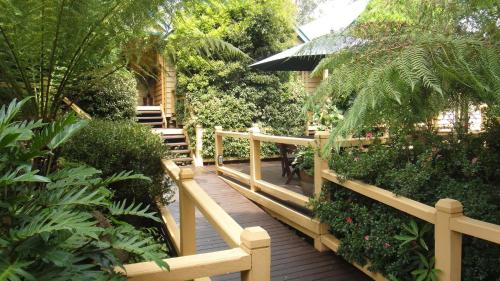 a wooden walkway in a garden with plants at Heritage Trail Lodge in Margaret River Town