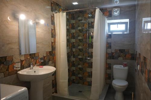 La salle de bains est pourvue d'un lavabo, de toilettes et d'une douche. dans l'établissement Nodara's garden, à Lagodekhi