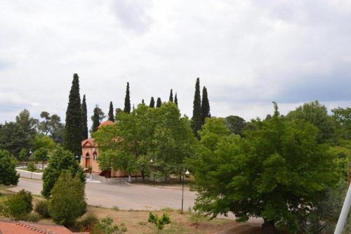 Κήπος έξω από το "Rex Πολίτη"