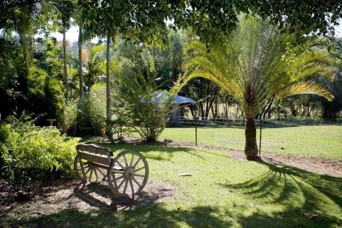 a park bench sitting in the grass next to a tree at Blackwattle Farm in Beerwah