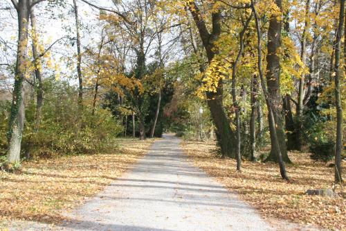 a dirt road with trees on both sides at Schloss Schönau in Schönau an der Triesting
