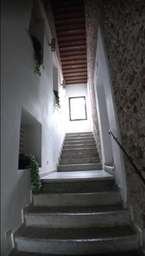 Al Bagolaro – Photos 4