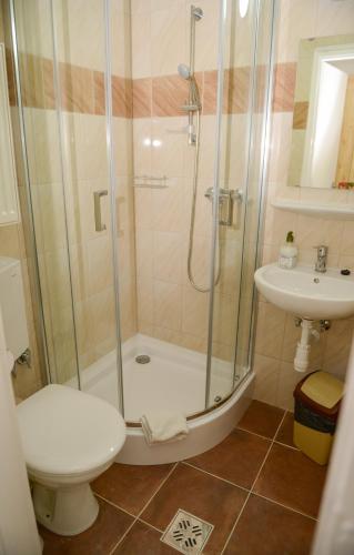 Un baño con ducha, inodoro y lavabo. en Thermal Panzió Igal, en Igal