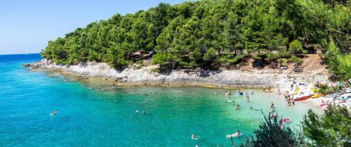 Amazing luxury apartment 200 m from the beach